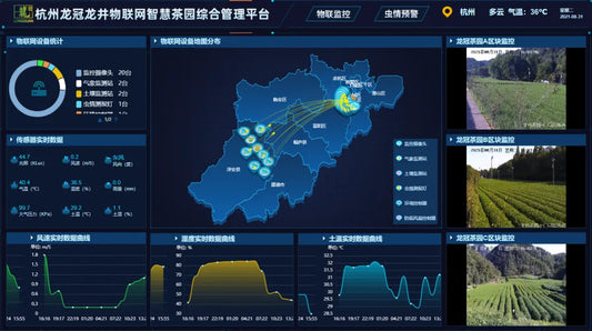 Observing the Smartification of the Chinese Tea Industry: Intelligentization in Tea Cultivation