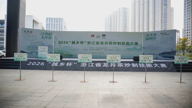 Maestros antiguos y nuevos compiten juntos, una competición de élite que muestra el aroma del té Longjing.